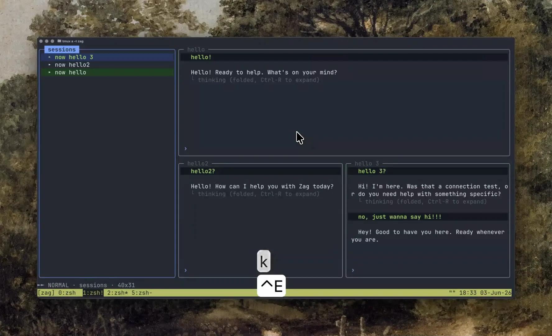 zag terminal coding agent: split-pane TUI with an active agent session